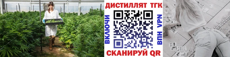 Купить закладки  Грозный  ТГК THC oil 