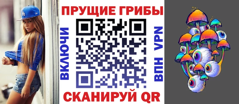 Купить  Грозный  Псилоцибиновые грибы GOLDEN TEACHER 